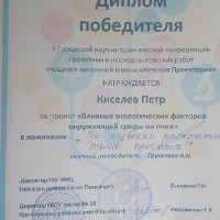 «Невская Проектория»