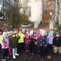 Целевые прогулки (ПДД)