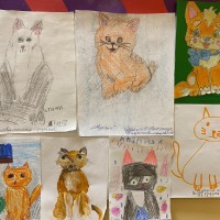 В детском саду поселились кошки!!!