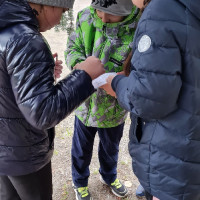 «Эколята открывают тайны городской природы»
