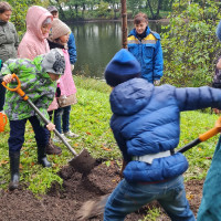 «Посади дерево»