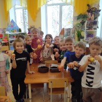 «Сажаем лук»