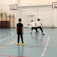 «Кубок главы администрации Приморского района Санкт-Петербурга по мини-футболу»