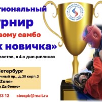 «Кубок новичка»
