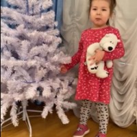 Международный день полярного медведя